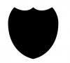 shield.jpg