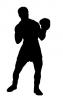 boxer.jpg