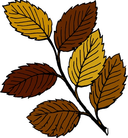 autumn_leaves.jpg