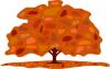 autumn_tree_red.jpg