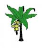 banana_tree.jpg