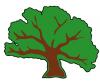 big_tree.jpg