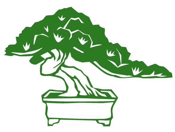 bonsai.jpg