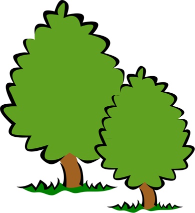 bushes.jpg