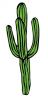 cactus.jpg