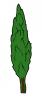 cedar_tree.jpg