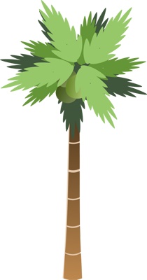 detail_palm.jpg