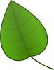 green_leaf.jpg