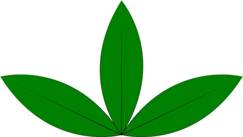 green_sprout.jpg