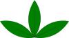 green_sprout.jpg