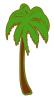 palm_tree.jpg