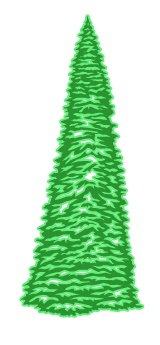 pinetree.jpg