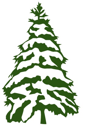 snow_covered_pine_tree.jpg