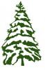 snow_covered_pine_tree.jpg