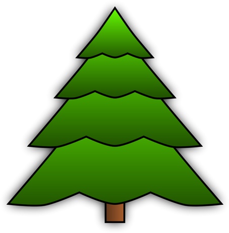 spruce_simple.jpg