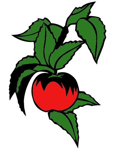 tomato_vine.jpg