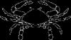 zodiac-clipart50.gif 2.6K