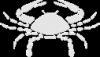 zodiac-clipart54.gif 2.4K